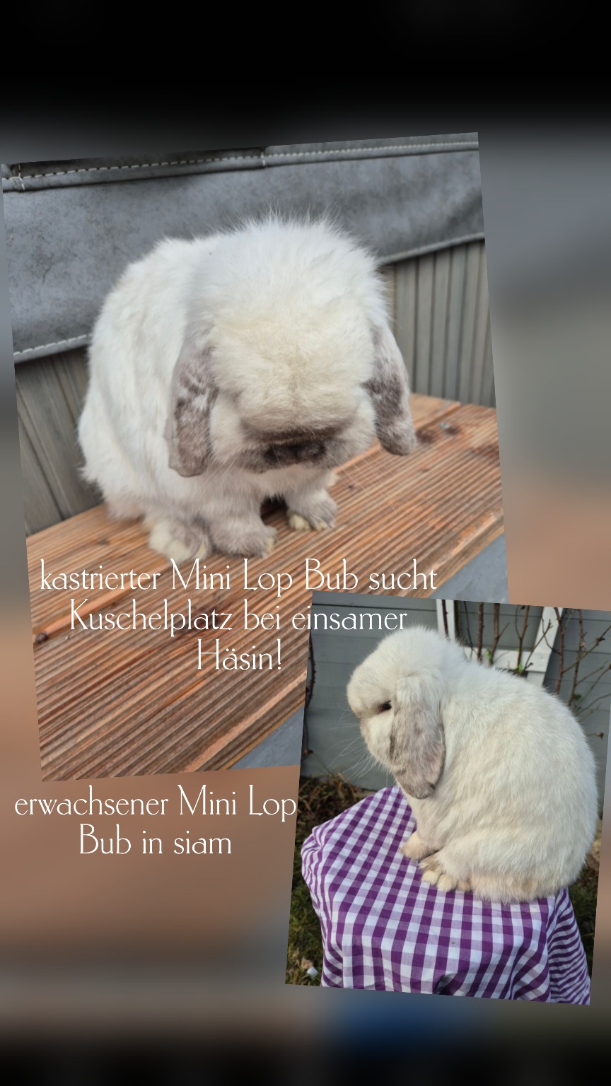 Picsart 26 02 11 13 51 17 713