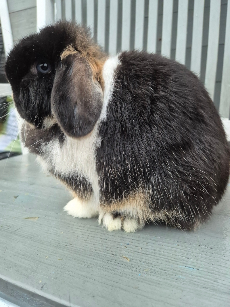 Picsart 26 03 01 13 00 25 268