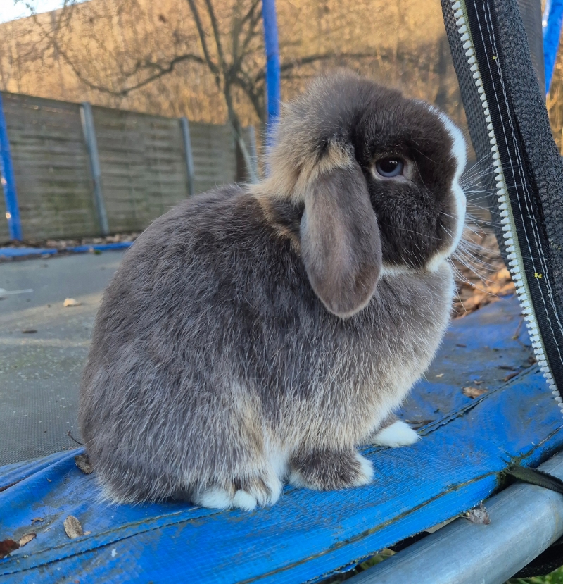 Picsart 26 03 01 13 00 43 179