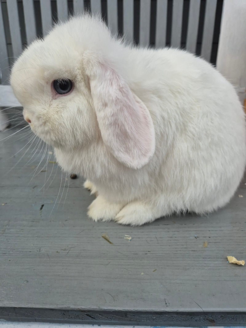 Picsart 26 03 01 13 01 13 686