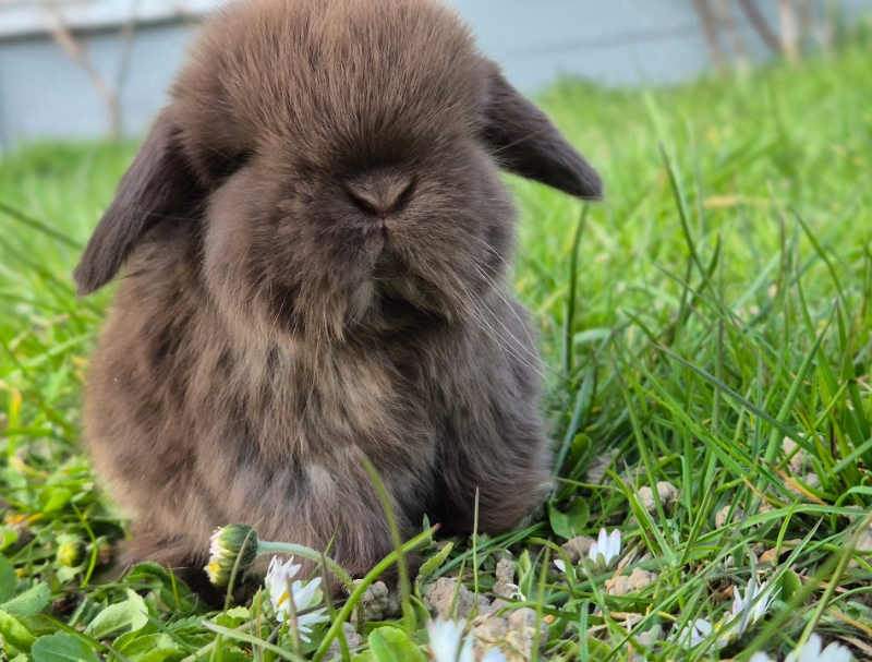 Picsart 26 03 25 16 45 04 243