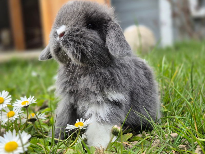 Picsart 26 03 25 16 45 35 009