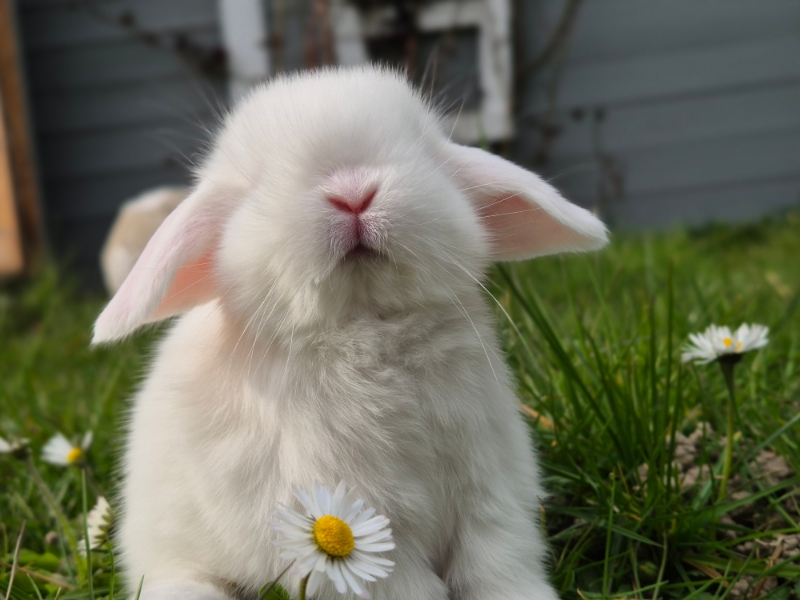 Picsart 26 03 25 16 46 04 572