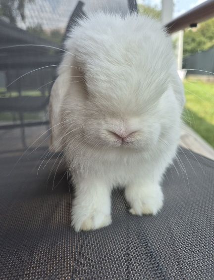 Screenshot 20260401 113213 Gallery