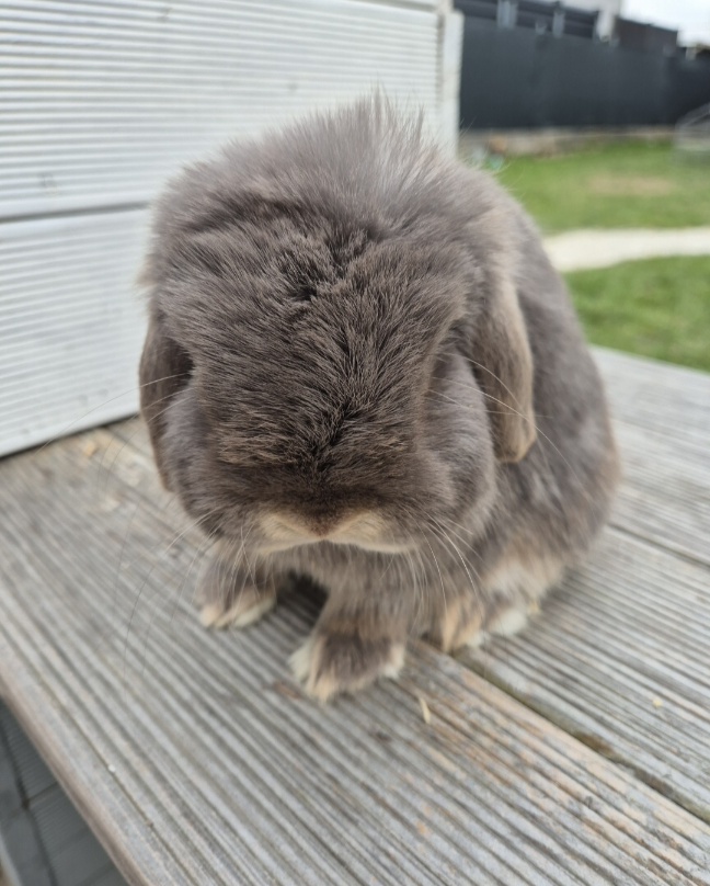 Screenshot 20260929 092802 Gallery